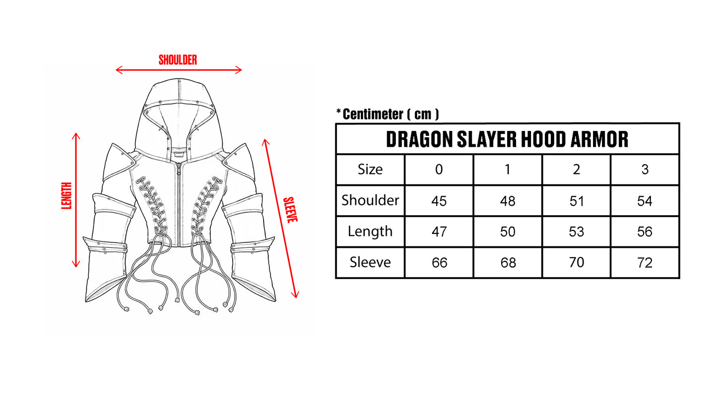 Dragon Slayer Hood Armor