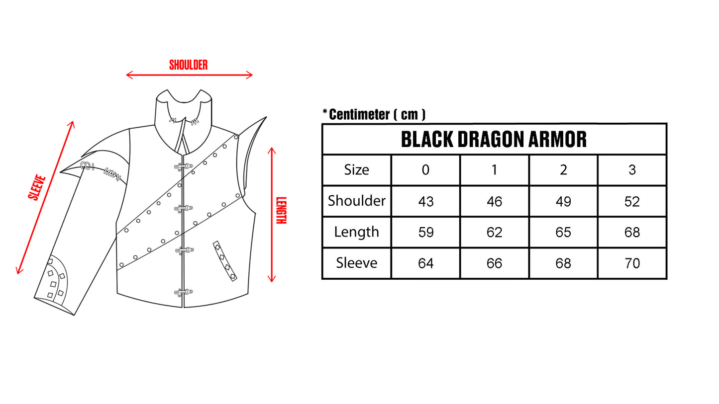 Black Dragon Armor