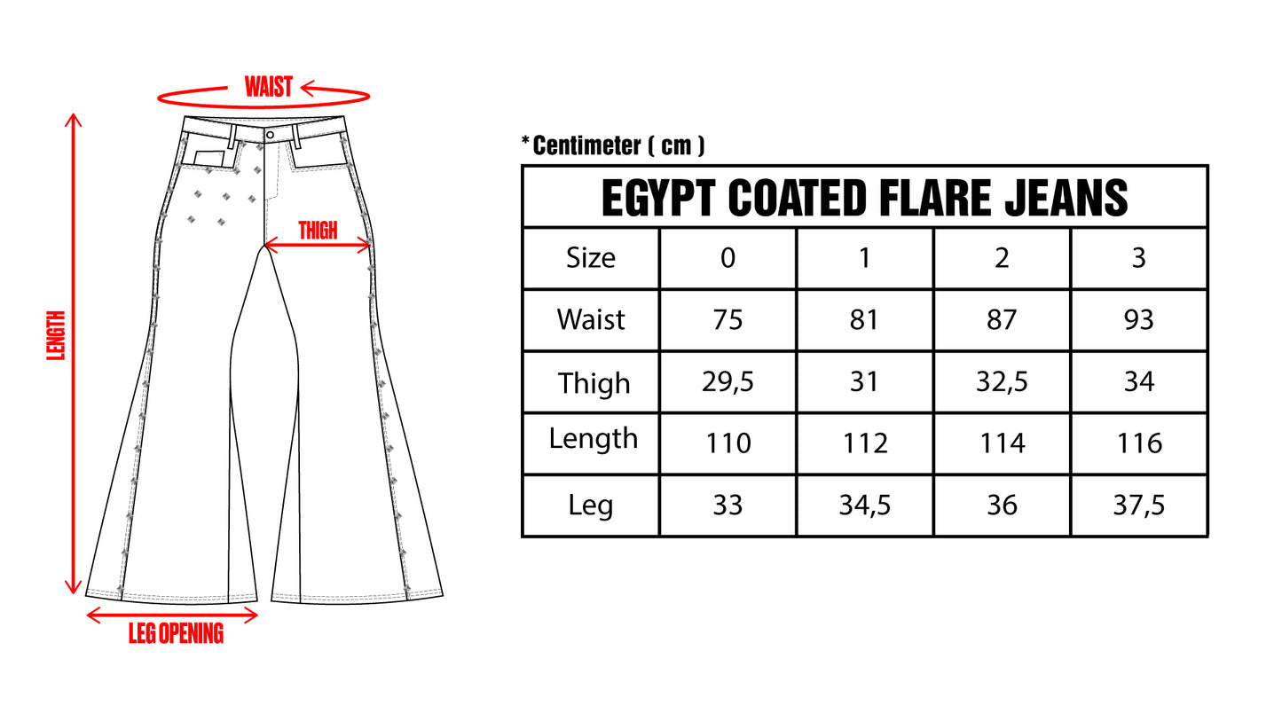 Egypt Coated Flare Pants